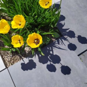 ATEM Beton Antracite 20 mm gres szkliwiony rektyfikowany 60x60 gatunek I