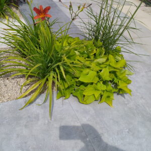 ATEM Lounge gris 20 mm gres szkliwiony rektyfikowany 60x60 gatunek I