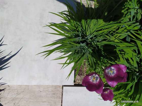 Nowoczesny taras z gresu 2 cm beton architektoniczny Blanco – realizacja Kraków 2026