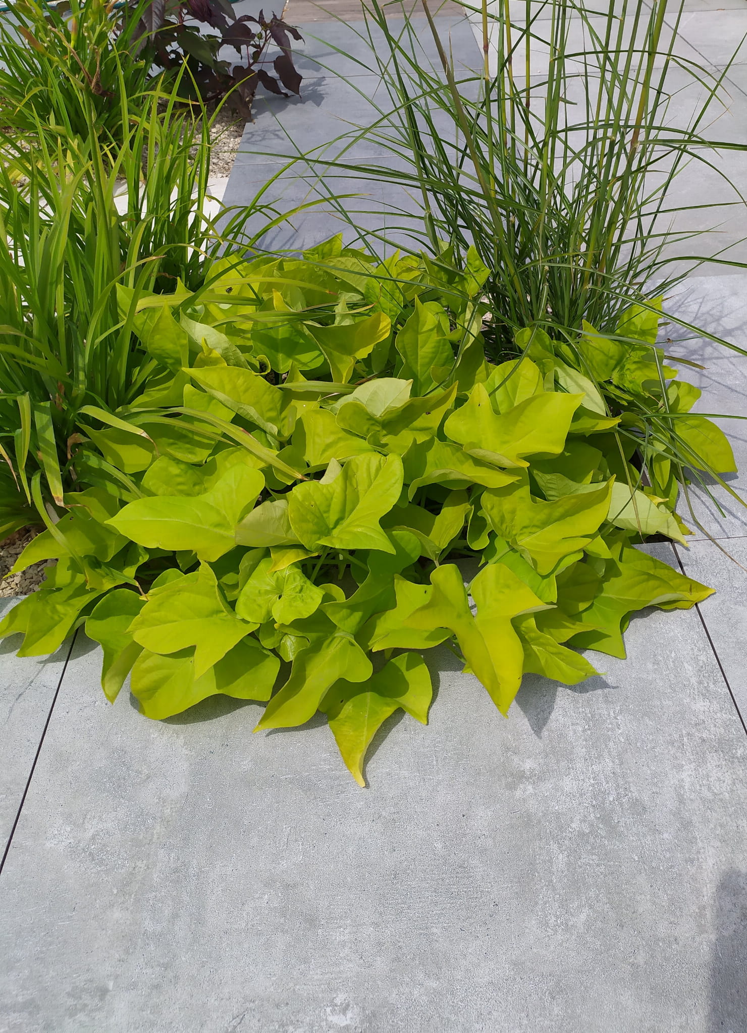 Taras wentylowany na wspornikach – gres greige R11 Tarrace Lounge