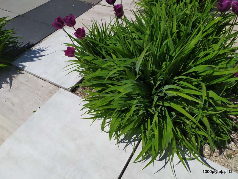 ATEM Beton Blanco – aranżacja balkonu