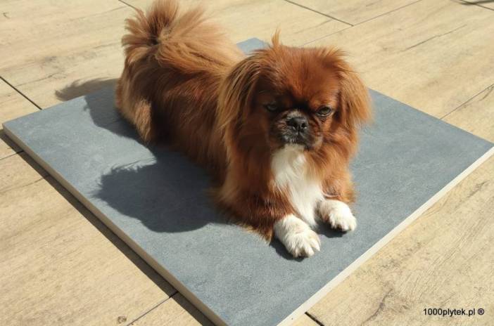 ATEM Manchester Schwarz 20 mm – gres szkliwiony rektyfikowany gatunek I w kolorze ciemnego betonu, idealny na taras i balkon